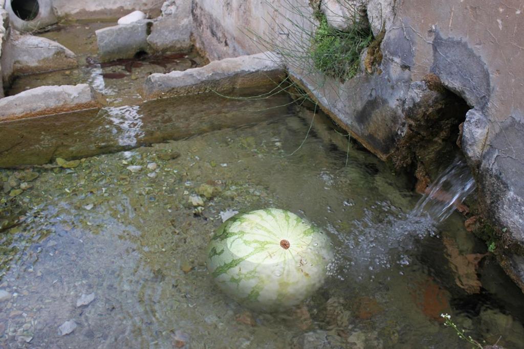 El Molinet Del Governador Guadalest Bagian luar foto